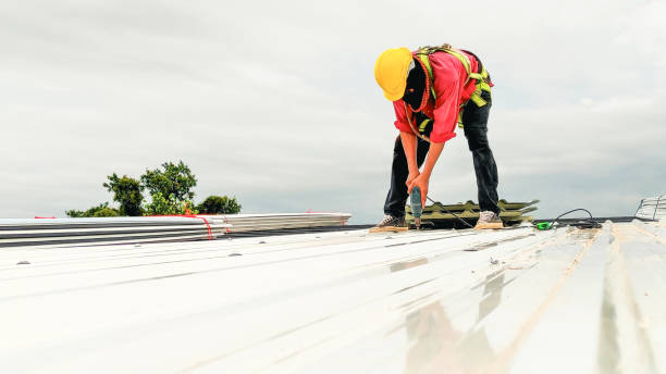 Best Roof Repair  in Havana, IL